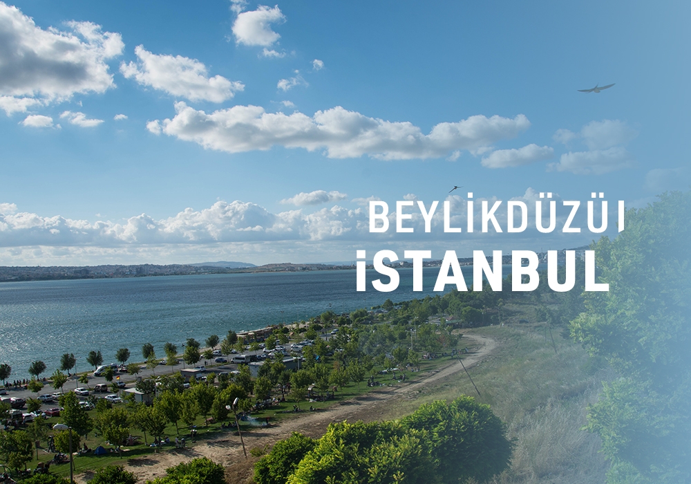 Beylikdüzü / İSTANBUL